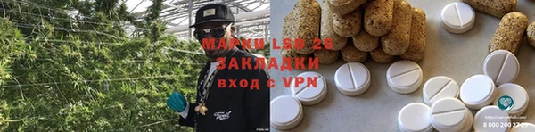 apvp Бородино