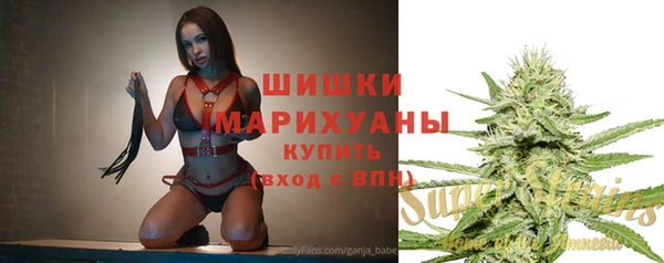 apvp Бородино