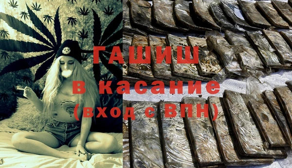 apvp Бородино
