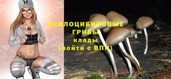 apvp Бородино