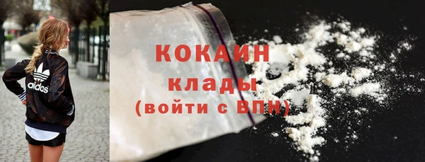 apvp Бородино